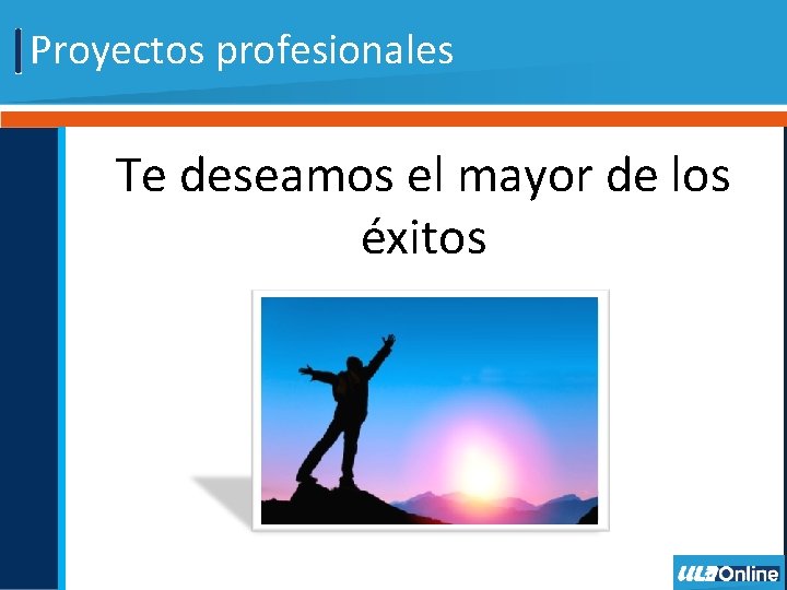 Proyectos profesionales Te deseamos el mayor de los éxitos 