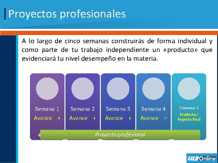 Proyectos profesionales A lo largo de cinco semanas construirás de forma individual y como