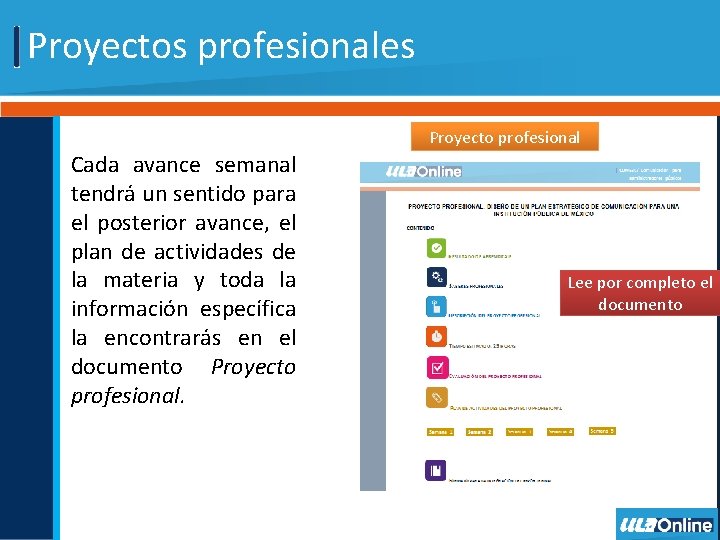 Proyectos profesionales Proyecto profesional Cada avance semanal tendrá un sentido para el posterior avance,
