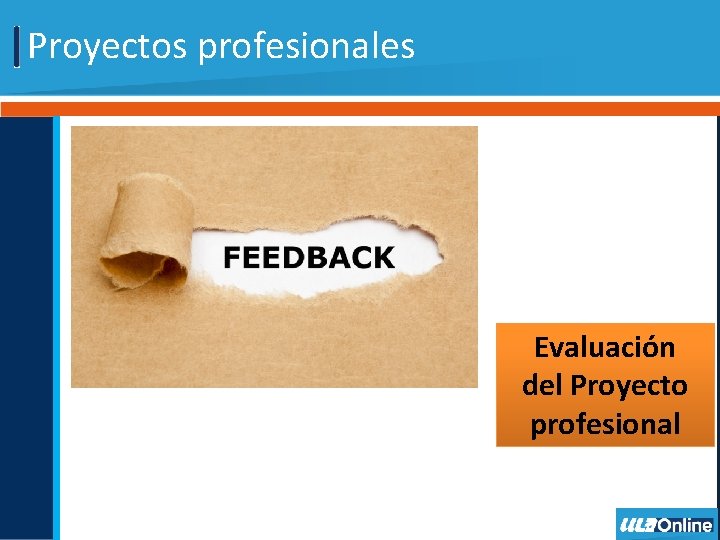 Proyectos profesionales Evaluación del Proyecto profesional 
