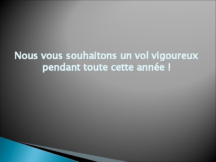 Nous vous souhaitons un vol vigoureux pendant toute cette année ! 