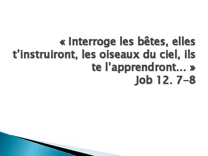  « Interroge les bêtes, elles t’instruiront, les oiseaux du ciel, ils te l’apprendront…