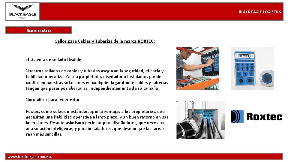 BLACK EAGLE LOGISTICS Suministro Sellos para Cables y Tuberías de la marca ROXTEC: El
