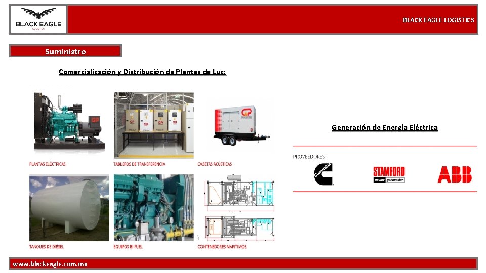 BLACK EAGLE LOGISTICS Suministro Comercialización y Distribución de Plantas de Luz: Generación de Energía