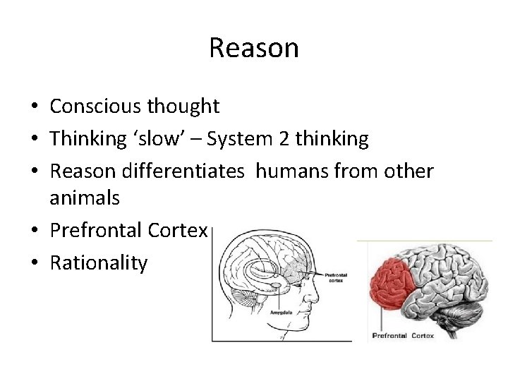 Reason • Conscious thought • Thinking ‘slow’ – System 2 thinking • Reason differentiates