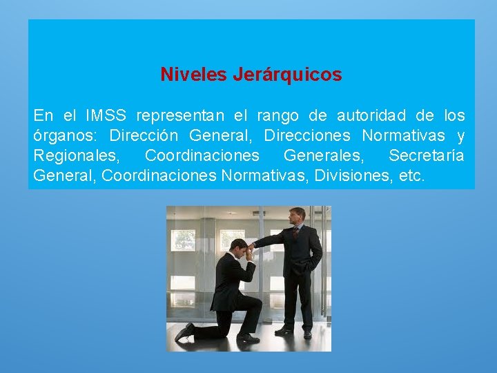 Niveles Jerárquicos En el IMSS representan el rango de autoridad de los órganos: Dirección