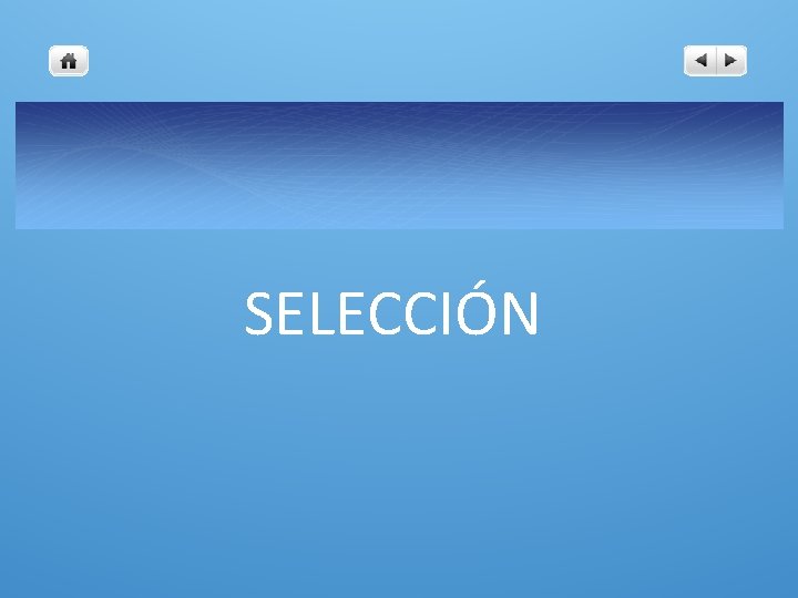 SELECCIÓN 
