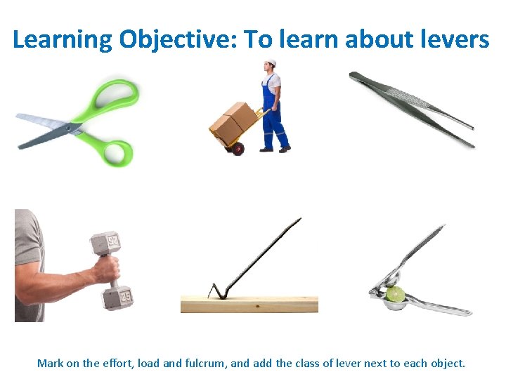 Learning Objective: To learn about levers Mark on the effort, load and fulcrum, and