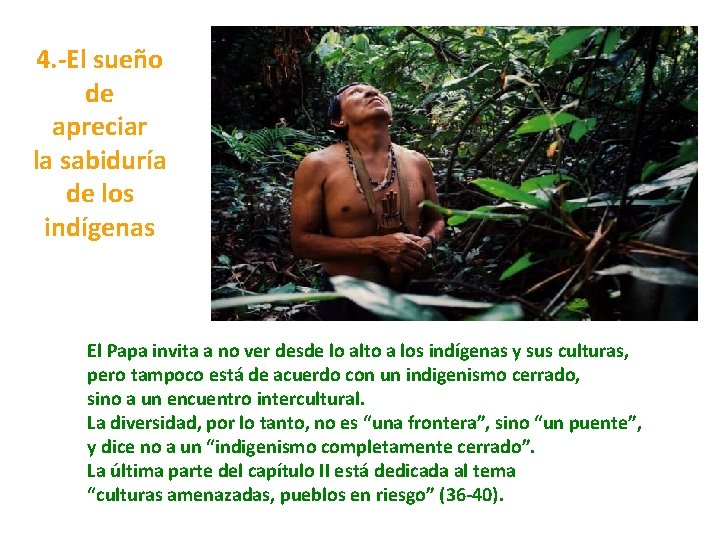 4. -El sueño de apreciar la sabiduría de los indígenas El Papa invita a
