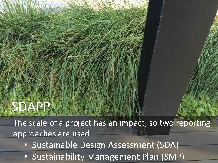 SDAPP The scale of a project has an impact, so two reporting approaches are
