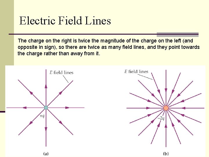 Electric Field Lines The charge on the right is twice the magnitude of the