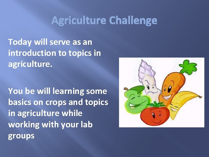 Agriculture Challenge Today will serve as an introduction to topics in agriculture. You be