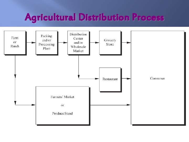 Agricultural Distribution Process 