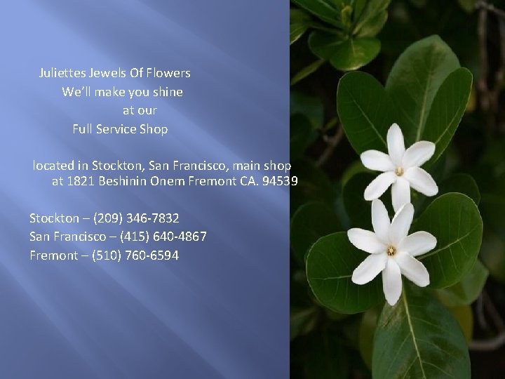  Juliettes Jewels Of Flowers We’ll make you shine at our Full Service Shop