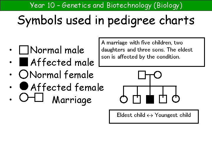 Year 10 – Genetics and Biotechnology (Biology) Symbols used in pedigree charts • •