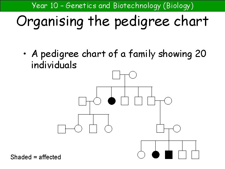 Year 10 – Genetics and Biotechnology (Biology) Organising the pedigree chart • A pedigree