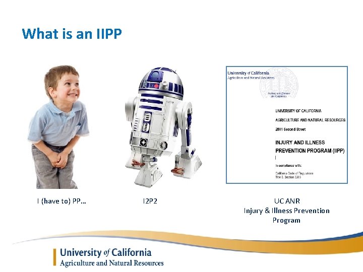 What is an IIPP I (have to) PP… I 2 P 2 UC ANR