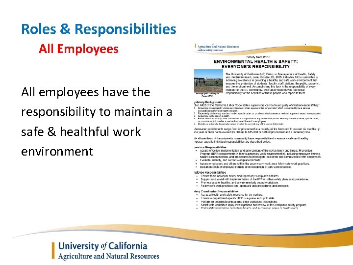 Roles & Responsibilities All Employees All employees have the responsibility to maintain a safe