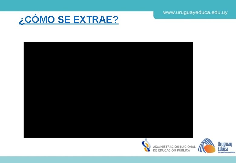 ¿CÓMO SE EXTRAE? 