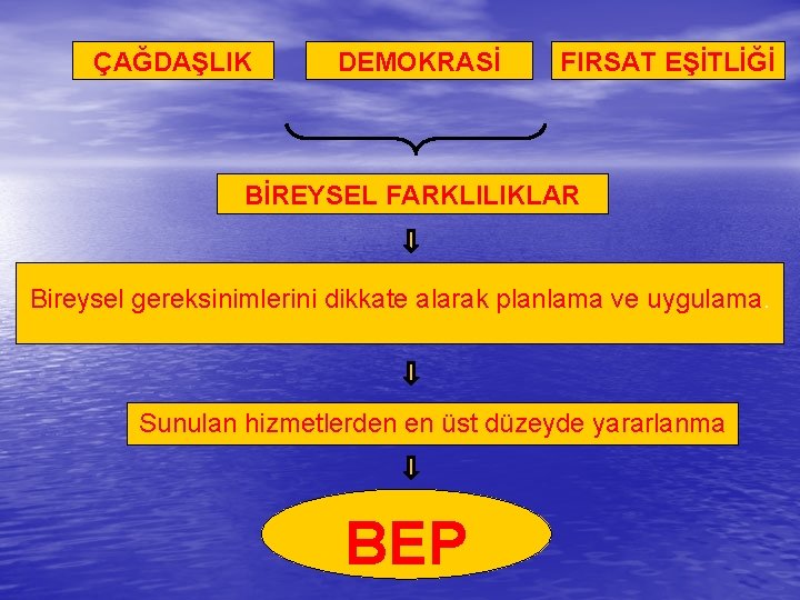 ÇAĞDAŞLIK DEMOKRASİ FIRSAT EŞİTLİĞİ BİREYSEL FARKLILIKLAR Bireysel gereksinimlerini dikkate alarak planlama ve uygulama. Sunulan