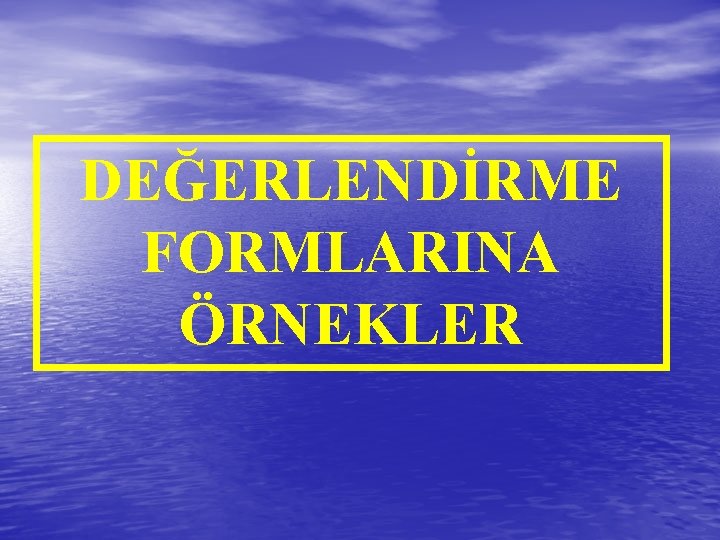 DEĞERLENDİRME FORMLARINA ÖRNEKLER 