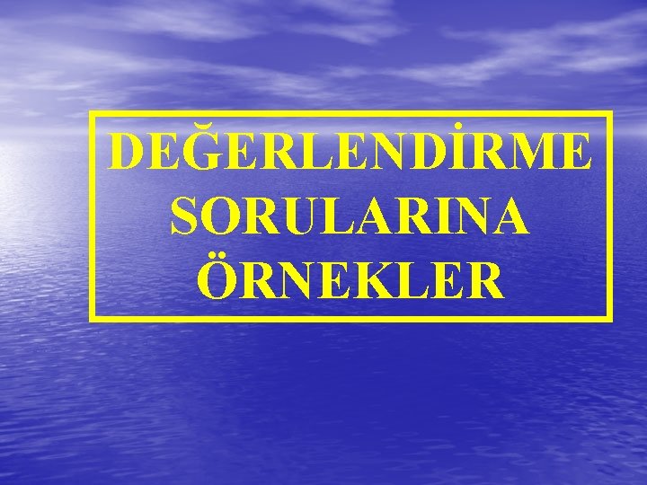 DEĞERLENDİRME SORULARINA ÖRNEKLER 