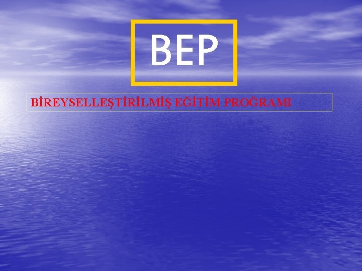 BEP BİREYSELLEŞTİRİLMİŞ EĞİTİM PROĞRAMI 