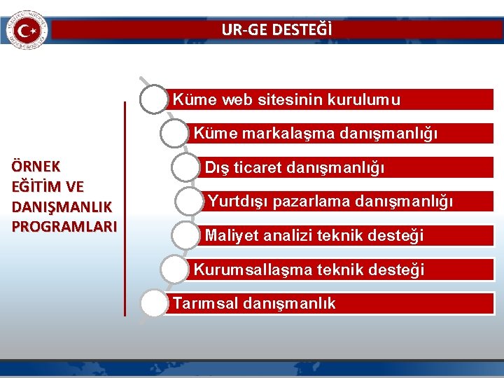 UR-GE DESTEĞİ Küme web sitesinin kurulumu Küme markalaşma danışmanlığı ÖRNEK EĞİTİM VE DANIŞMANLIK PROGRAMLARI