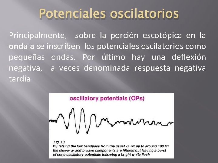 Potenciales oscilatorios Principalmente, sobre la porción escotópica en la onda a se inscriben los