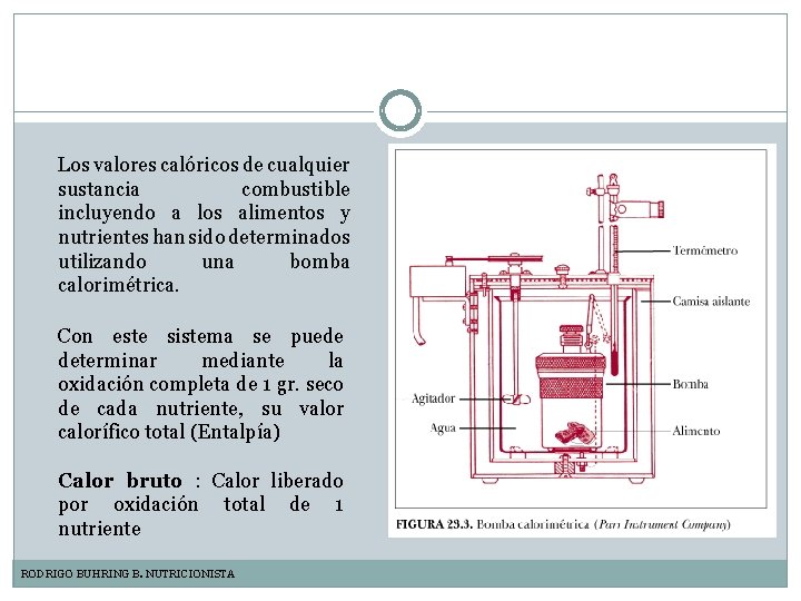 Los valores calóricos de cualquier sustancia combustible incluyendo a los alimentos y nutrientes han