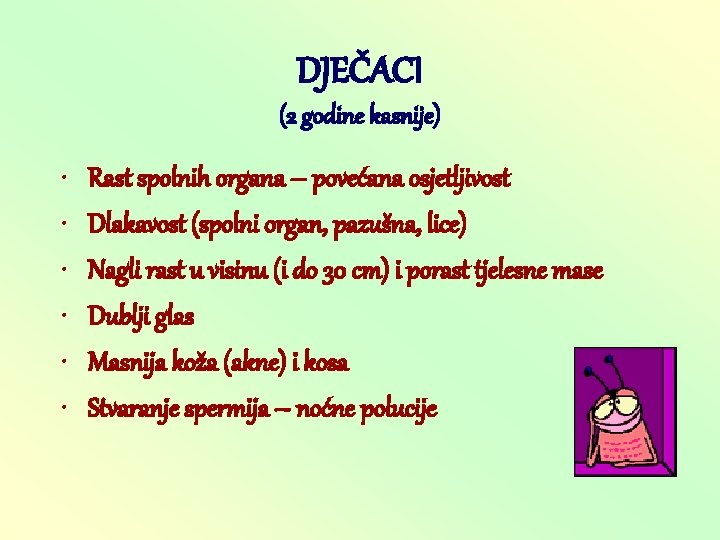 DJEČACI (2 godine kasnije) • • • Rast spolnih organa – povećana osjetljivost Dlakavost