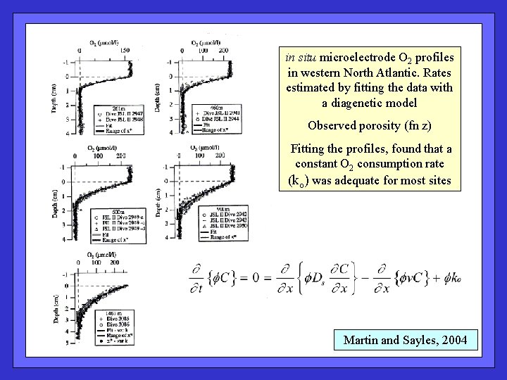 in situ microelectrode O 2 profiles in western North Atlantic. Rates estimated by fitting