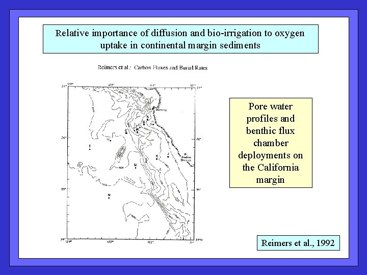 Relative importance of diffusion and bio-irrigation to oxygen uptake in continental margin sediments Pore