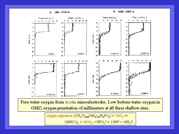 Pore water oxygen from in situ microelectrodes. Low bottom water oxygen in OMZ; oxygen