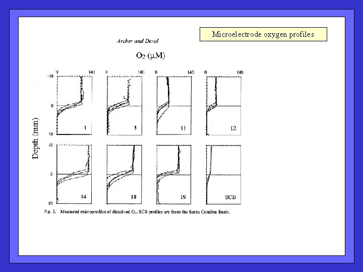 Microelectrode oxygen profiles 
