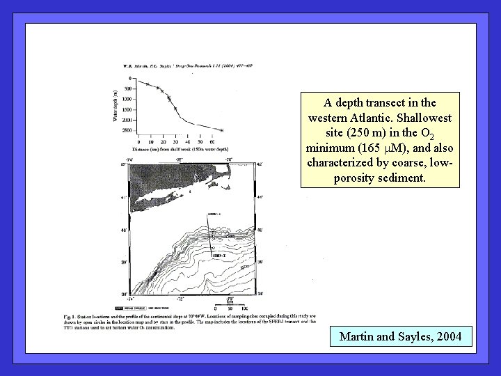 A depth transect in the western Atlantic. Shallowest site (250 m) in the O