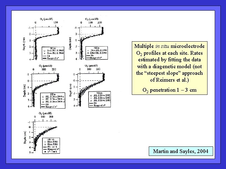 Multiple in situ microelectrode O 2 profiles at each site. Rates estimated by fitting