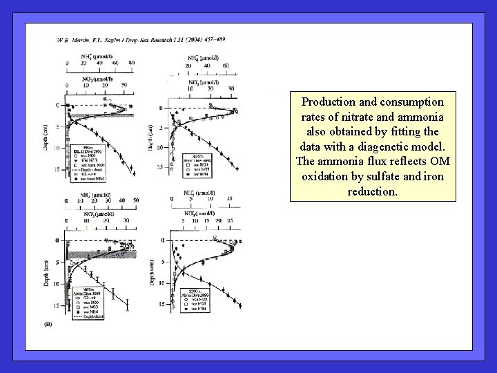 Production and consumption rates of nitrate and ammonia also obtained by fitting the data