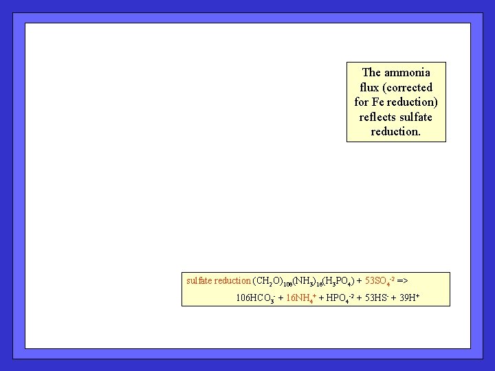 The ammonia flux (corrected for Fe reduction) reflects sulfate reduction (CH 2 O)106(NH 3)16(H