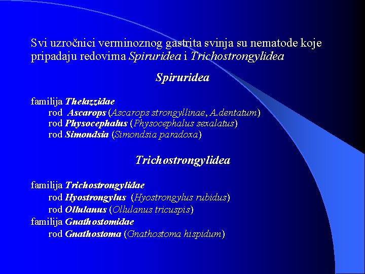 Svi uzročnici verminoznog gastrita svinja su nematode koje pripadaju redovima Spiruridea i Trichostrongylidea Spiruridea