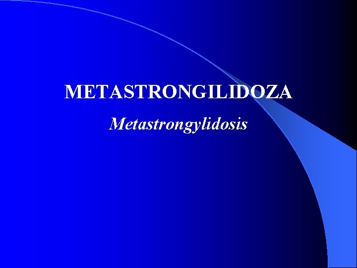 METASTRONGILIDOZA Metastrongylidosis 