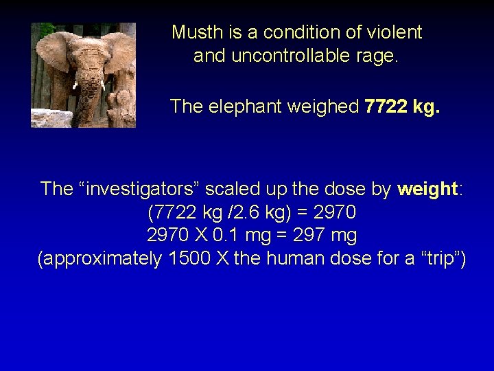 Musth is a condition of violent and uncontrollable rage. The elephant weighed 7722 kg.