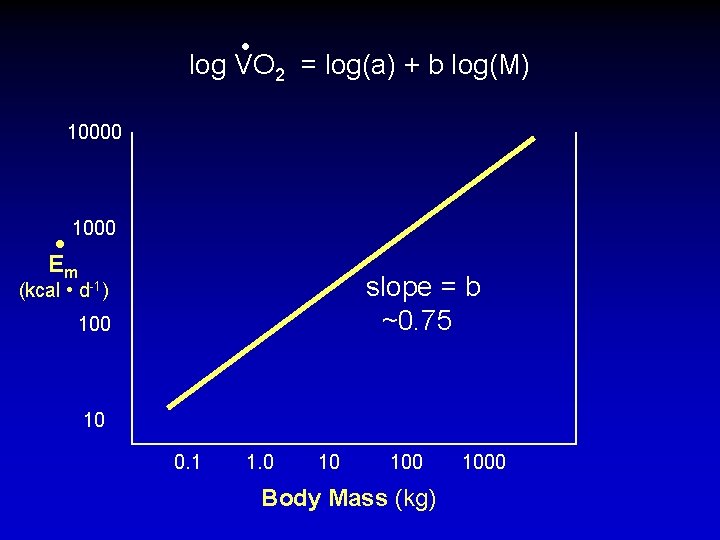  • log VO 2 = log(a) + b log(M) 10000 • 1000 Em