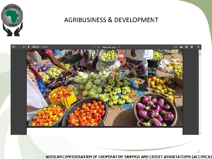 AGRIBUSINESS & DEVELOPMENT 2 