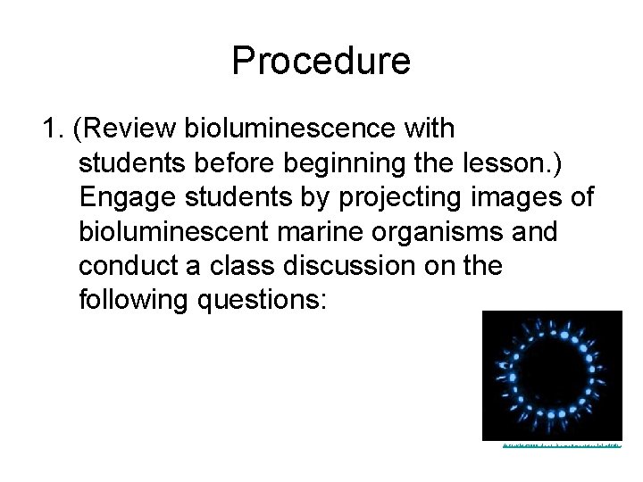 Procedure 1. (Review bioluminescence with students before beginning the lesson. ) Engage students by