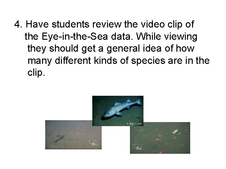 4. Have students review the video clip of the Eye-in-the-Sea data. While viewing they