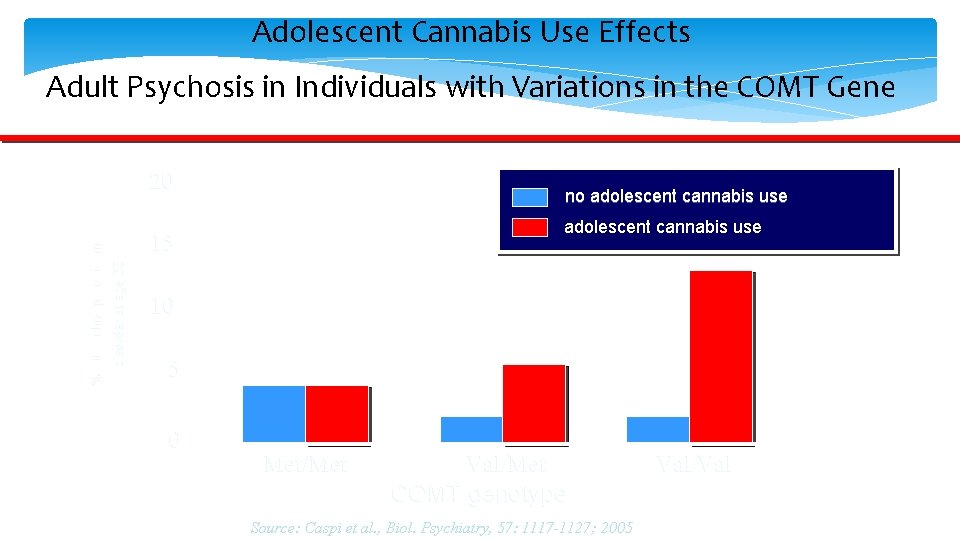 Adolescent Cannabis Use Effects Adult Psychosis in Individuals with Variations in the COMT Gene