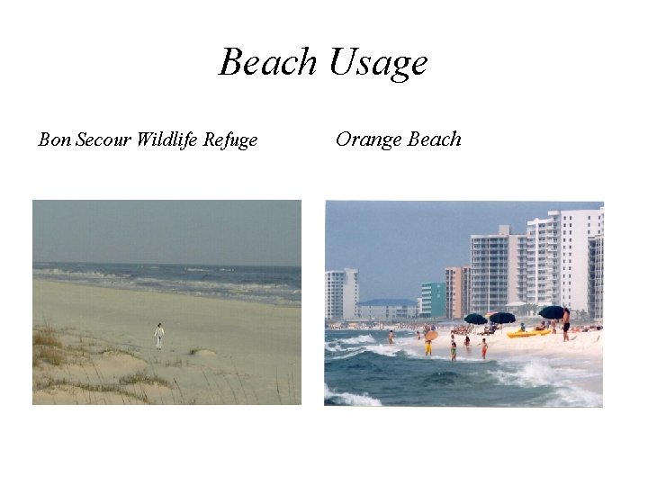 Beach Usage Bon Secour Wildlife Refuge Orange Beach 