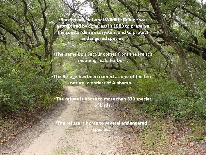  • Bon Secour National Wildlife Refuge was established by congress in 1980 to