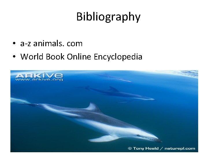 Bibliography • a-z animals. com • World Book Online Encyclopedia 